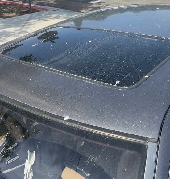 Black roof and sunroof covered in dried water spots before detailing