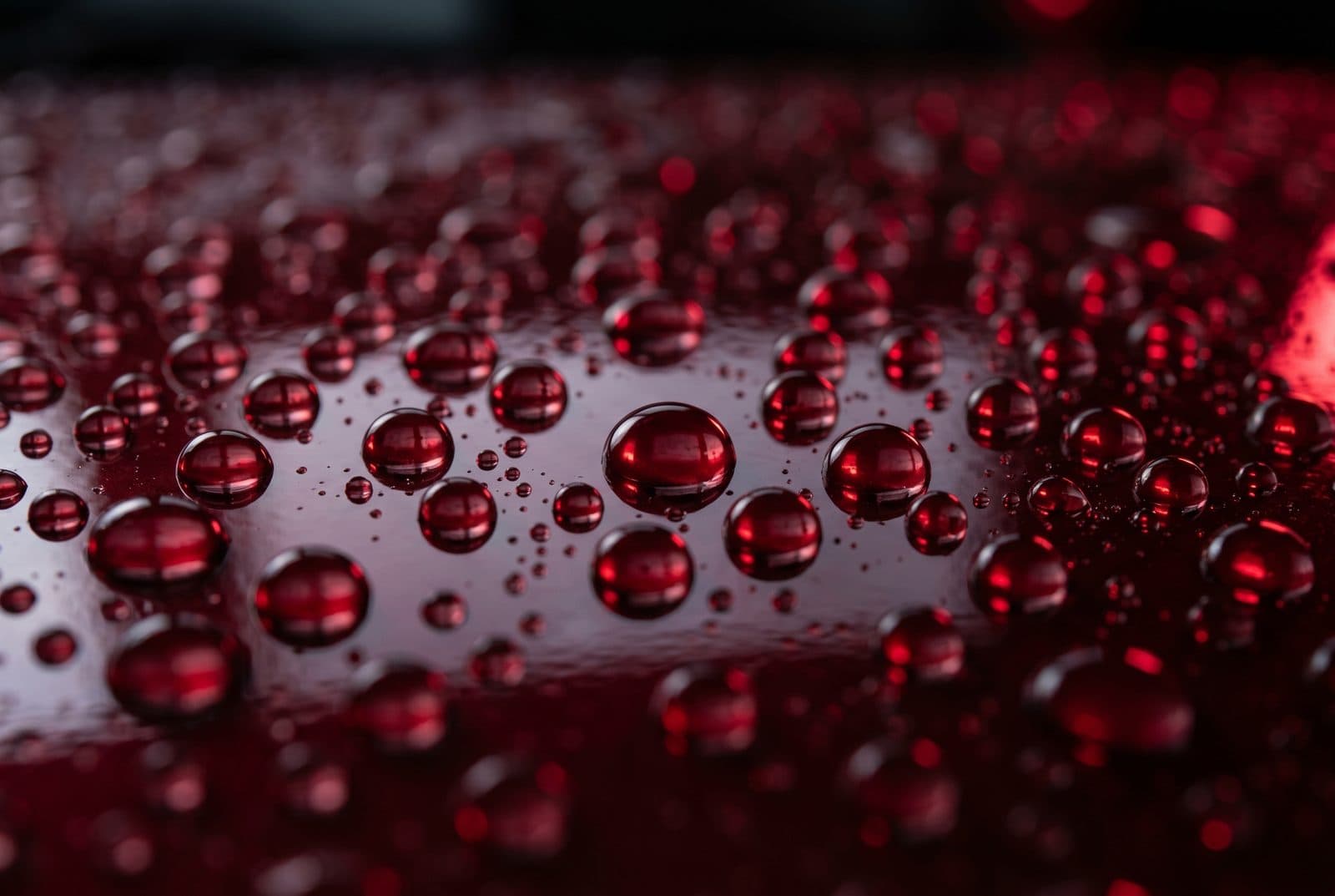Paint Protection